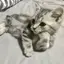naのプロフィール画像