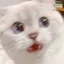 いーちゃんのプロフィール画像