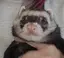 はるなのプロフィール画像