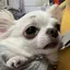 もえぽんのプロフィール画像