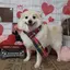 ささきちかのプロフィール画像