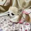 cocoのプロフィール画像