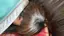 裕子のプロフィール画像