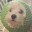 ゆのプロフィール画像