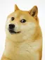 ひろのプロフィール画像