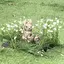 まほのプロフィール画像
