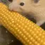もにえもんのプロフィール画像