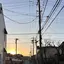 ごまはるのプロフィール画像