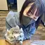 飛鳥のプロフィール画像