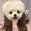yaのプロフィール画像