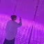 やはてのプロフィール画像