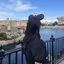 Sumiのプロフィール画像