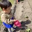 かなせのプロフィール画像