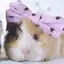🎀のプロフィール画像