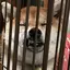 ほたるのプロフィール画像