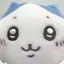 🐶のプロフィール画像