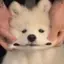 momoのプロフィール画像