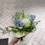 myomutのプロフィール画像