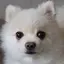 ころちゃんのプロフィール画像