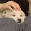あやかのプロフィール画像