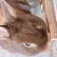 hrmのプロフィール画像
