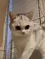 coのプロフィール画像