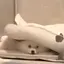 やまのプロフィール画像