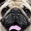 miiのプロフィール画像