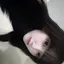 𝘏𝘪𝘬𝘢𝘳𝘶✧·˚⌖.のプロフィール画像