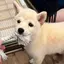 えみりのプロフィール画像