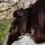 安保明香のプロフィール画像