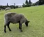 さえのプロフィール画像