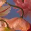 RiRiのプロフィール画像