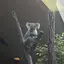 芽生のプロフィール画像