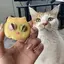 REINAのプロフィール画像