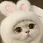 🎀のプロフィール画像