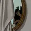 むぐのプロフィール画像