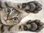 Bizzyのプロフィール画像