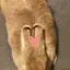 Spicaスピカのプロフィール画像