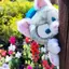 りりのプロフィール画像