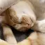 aakknnのプロフィール画像