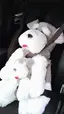kmtのプロフィール画像