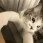 汐音のプロフィール画像