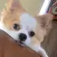 まゆそんのプロフィール画像