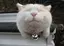 ytomomiのプロフィール画像