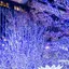 みっくのプロフィール画像