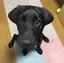 あいりのプロフィール画像