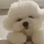 咲心のプロフィール画像