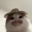 イオウのプロフィール画像