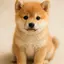 悠希のプロフィール画像